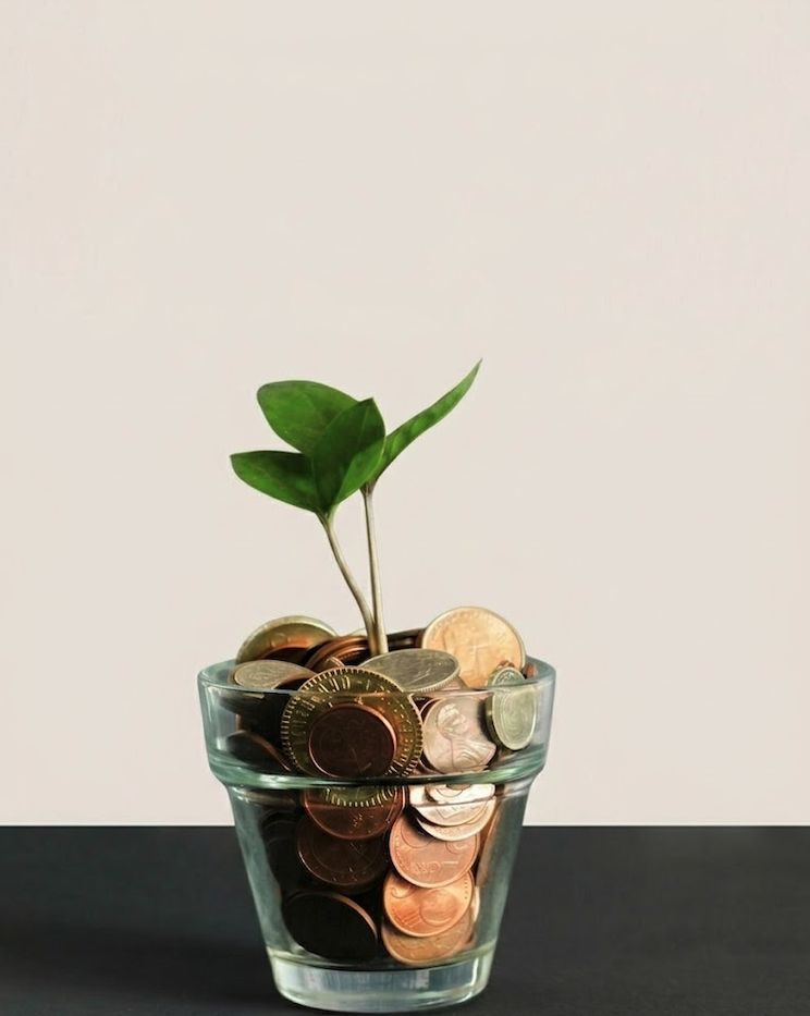 Plant growing from coins in a jar — wealth and investment growth